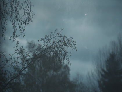 SN 07,2014,Maido Juss,Still,,Pigmentfoto,Tiraaz 3, 170eur45x30cm